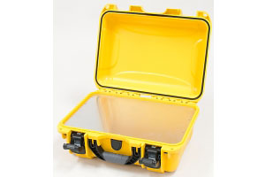 NANUK 915 Case