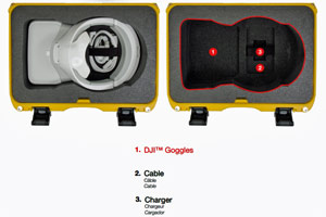 NANUK 918 DJI™ Goggles Case