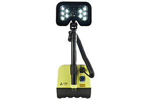 9455 Remote Area Lighting System