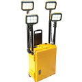 9470 Remote Area Lighting System